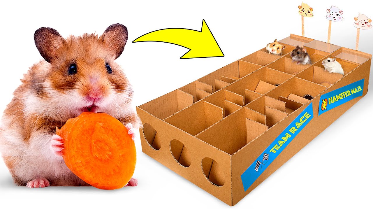 Detail Cara Membuat Rumah Hamster Dari Kardus Nomer 32