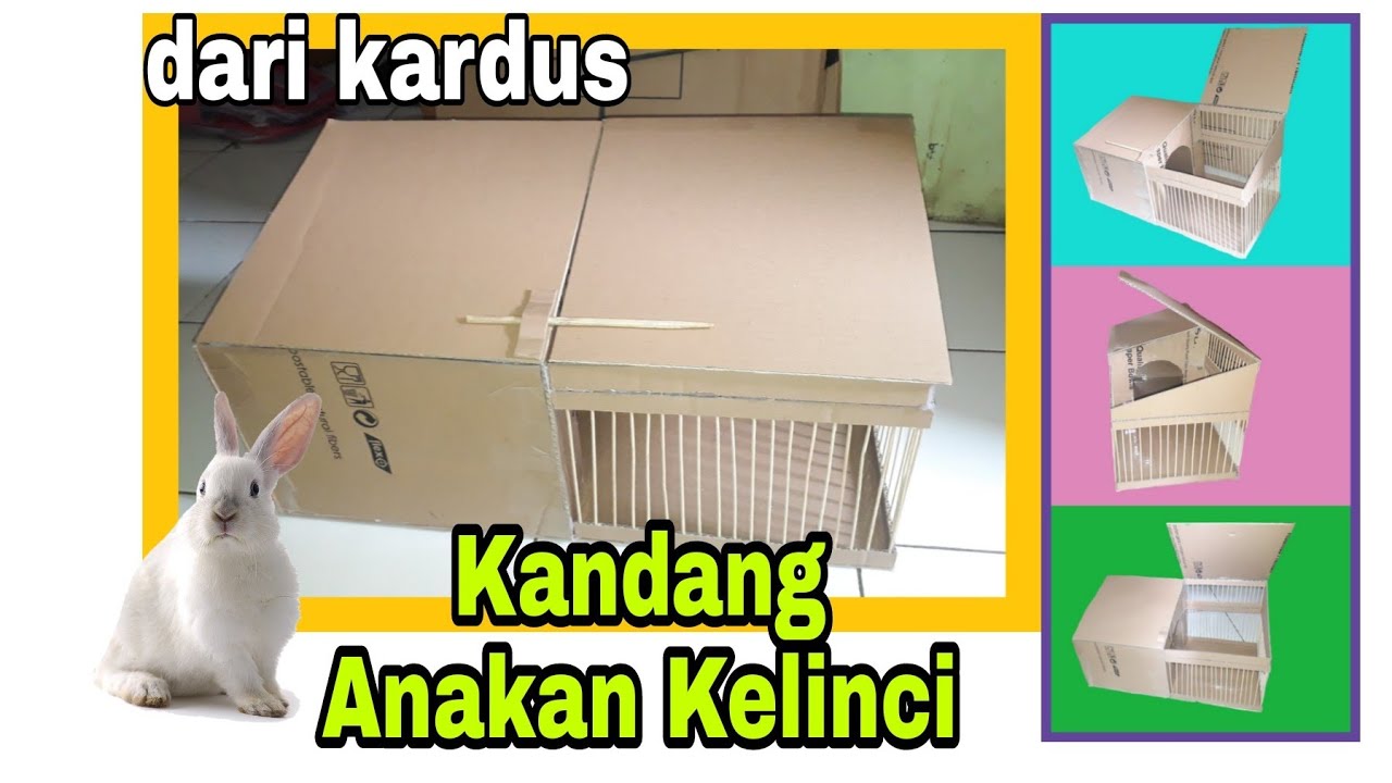 Detail Cara Membuat Rumah Hamster Dari Kardus Nomer 36