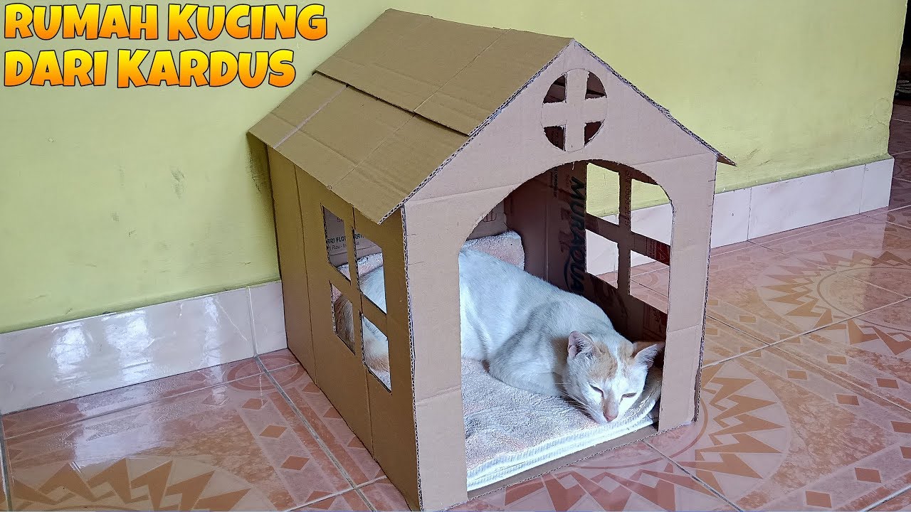 Cara Membuat Rumah Kucing - KibrisPDR