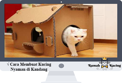 Detail Cara Membuat Rumah Kucing Nomer 22