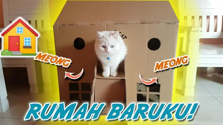 Detail Cara Membuat Rumah Kucing Nomer 35