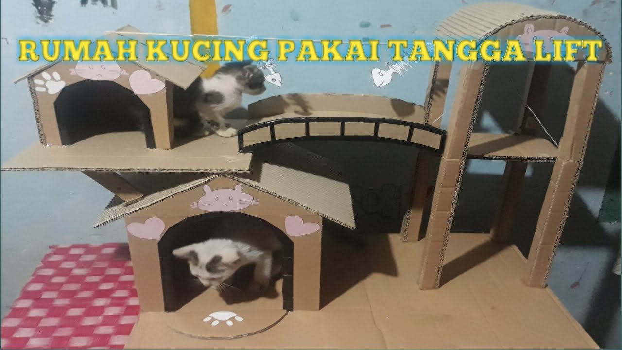 Detail Cara Membuat Rumah Kucing Nomer 5