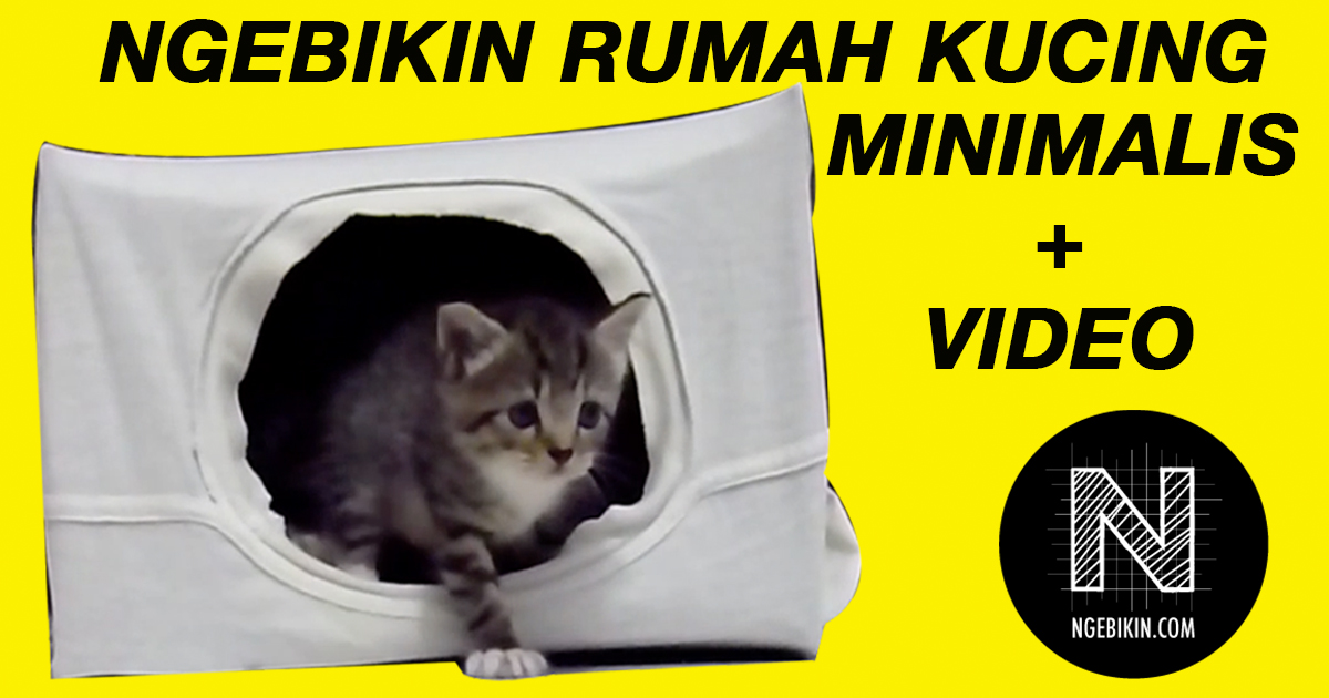 Detail Cara Membuat Rumah Kucing Dari Kardus Nomer 31