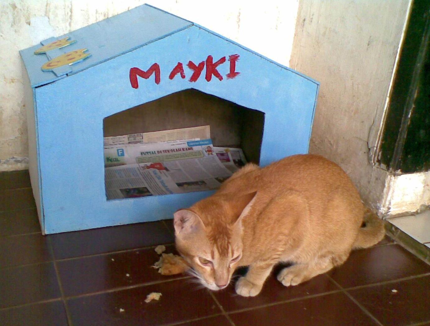 Detail Cara Membuat Rumah Kucing Dari Kardus Nomer 44