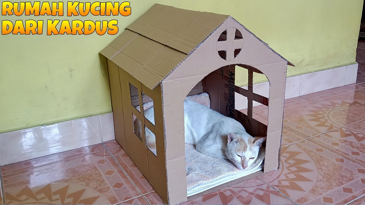 Cara Membuat Rumah Kucing Dari Kardus Tingkat - KibrisPDR