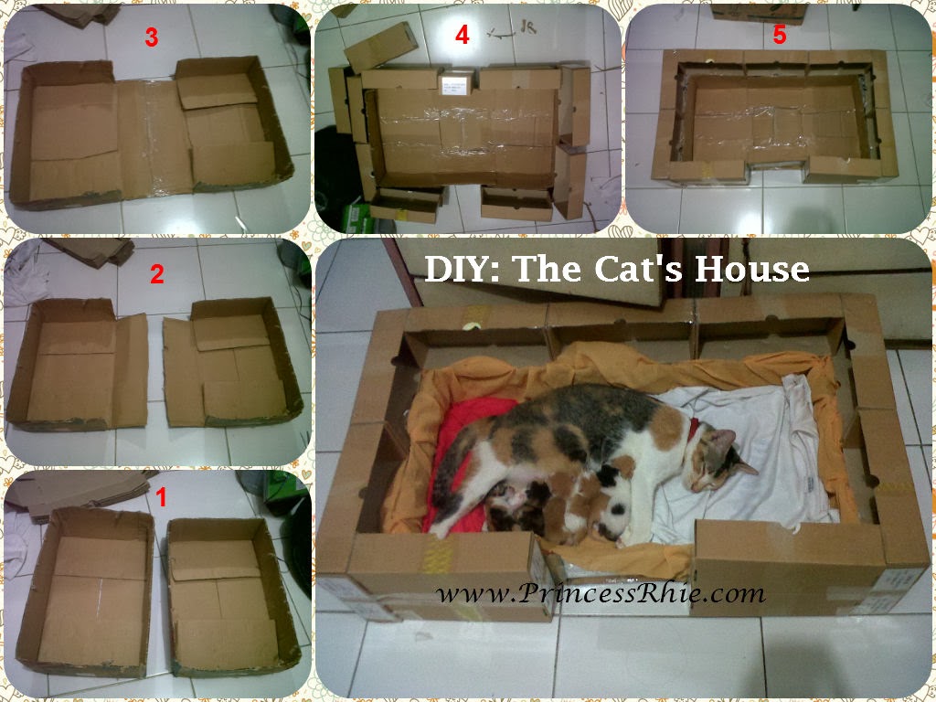 Detail Cara Membuat Rumah Kucing Dari Kardus Tingkat Nomer 30