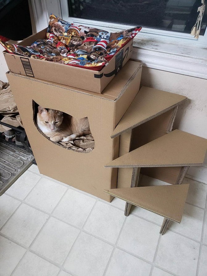 Detail Cara Membuat Rumah Kucing Dari Kardus Tingkat Nomer 37