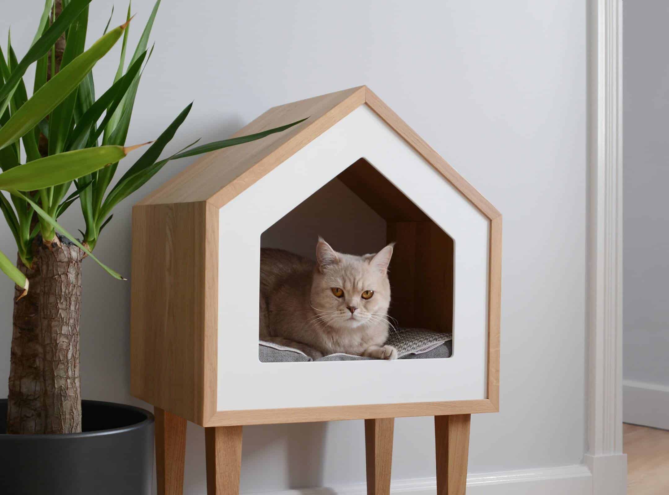 Detail Cara Membuat Rumah Kucing Dari Kayu Nomer 16