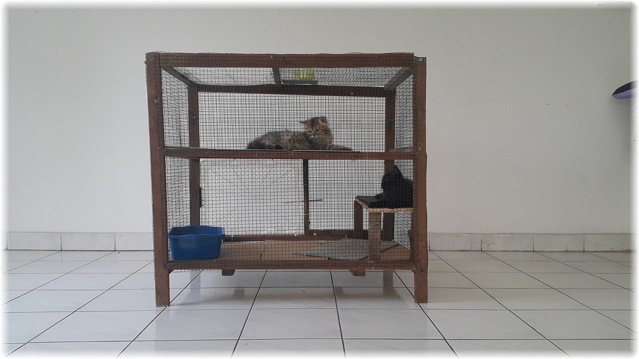 Detail Cara Membuat Rumah Kucing Dari Kayu Nomer 10