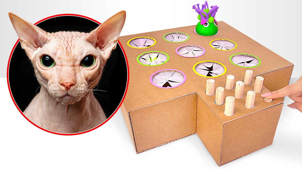 Detail Cara Membuat Rumah Mainan Kucing Dari Kardus Nomer 15