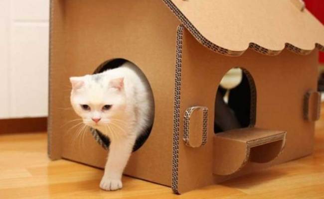 Detail Cara Membuat Rumah Mainan Kucing Dari Kardus Nomer 18