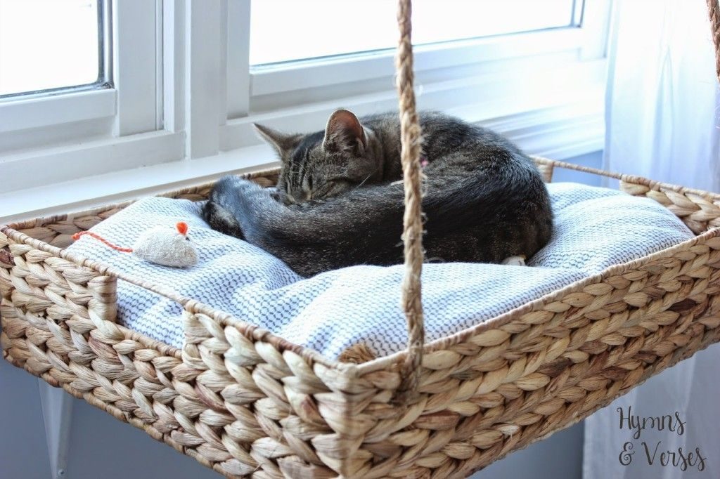 Detail Cara Membuat Rumah Mainan Kucing Dari Kardus Nomer 40