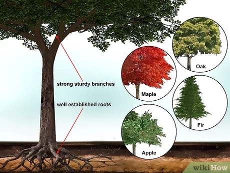 Detail Cara Membuat Rumah Pohon Dari Kardus Nomer 36