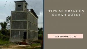 Detail Cara Membuat Rumah Walet Nomer 9