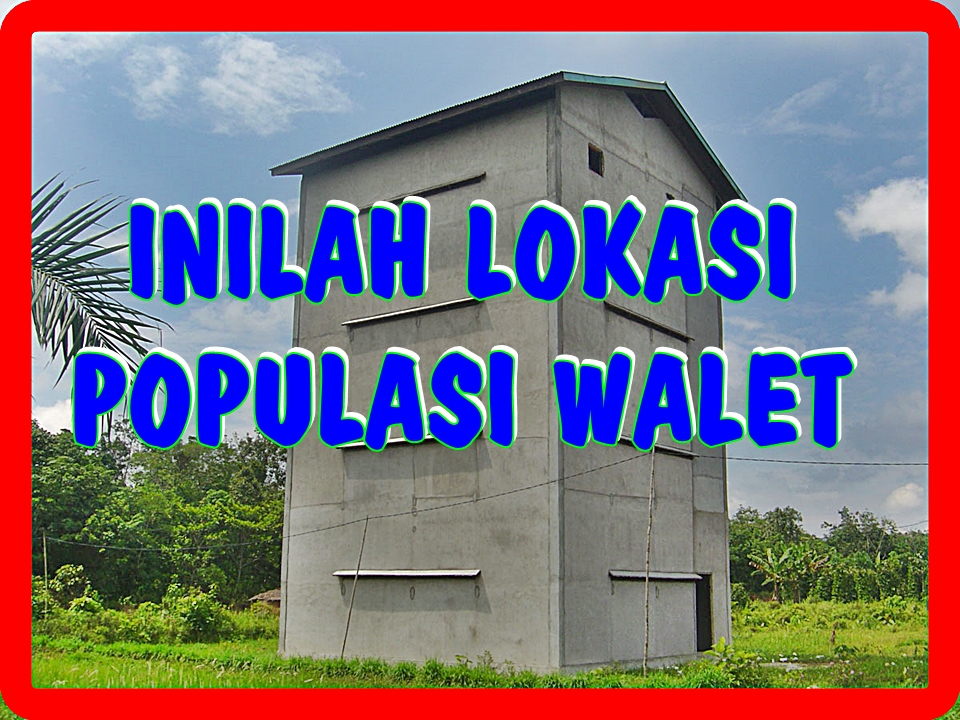 Detail Cara Membuat Rumah Walet Nomer 27