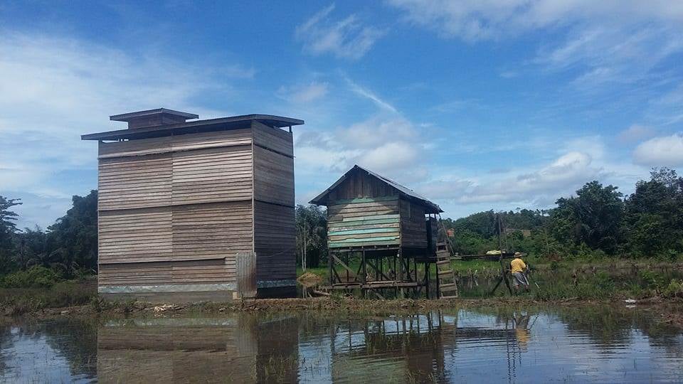 Detail Cara Membuat Rumah Walet Yang Benar Nomer 32