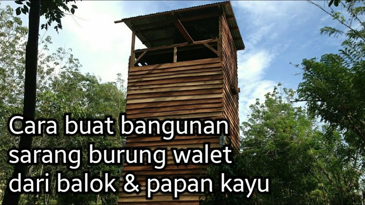 Detail Cara Membuat Rumah Walet Yang Benar Nomer 4