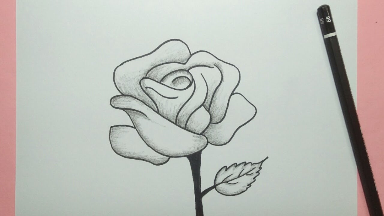 Detail Cara Membuat Sketsa Bunga Mudah Nomer 36