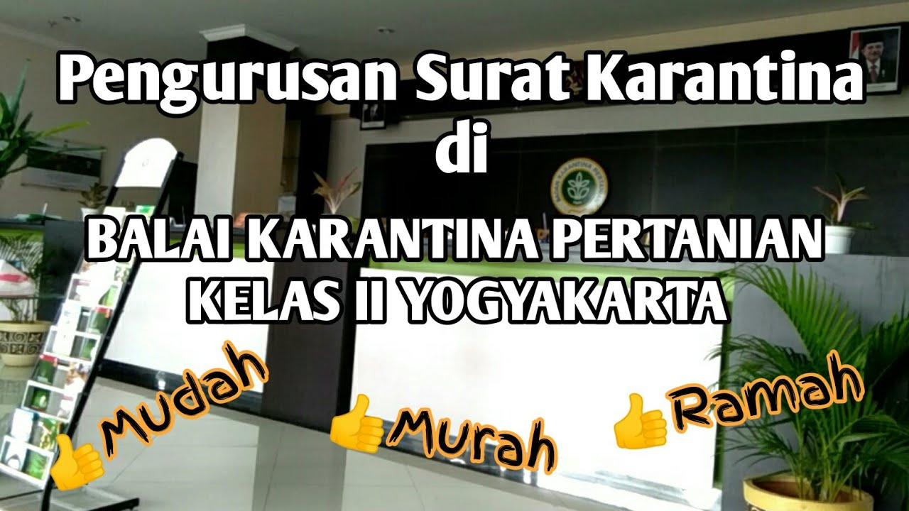 Detail Cara Membuat Surat Karantina Nomer 10