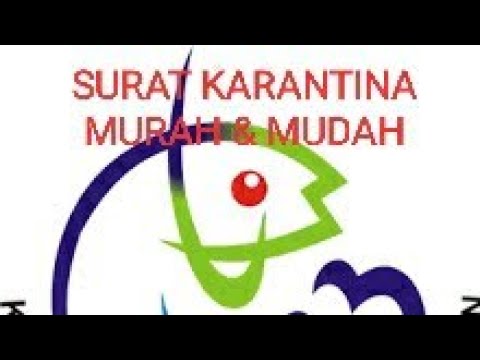 Detail Cara Membuat Surat Karantina Nomer 18