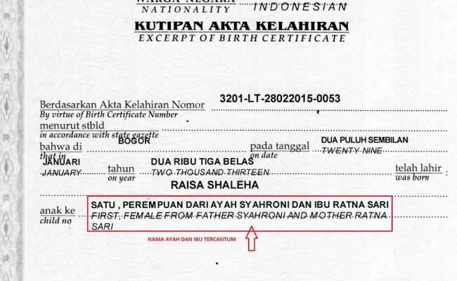 Detail Cara Membuat Surat Kelahiran Nomer 27