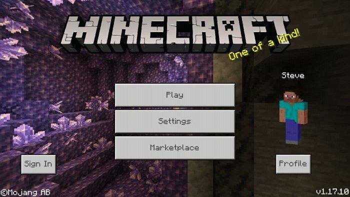 Detail Cara Membuat Taman Bermain Di Minecraft Nomer 31