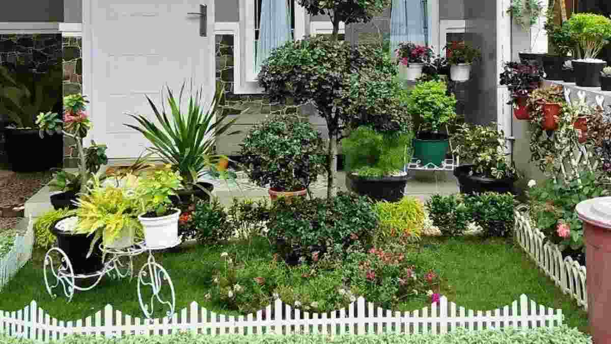 Detail Cara Membuat Taman Kecil Di Depan Rumah Nomer 36