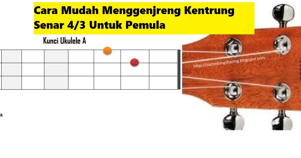 Detail Cara Membuat Ukulele Nomer 14