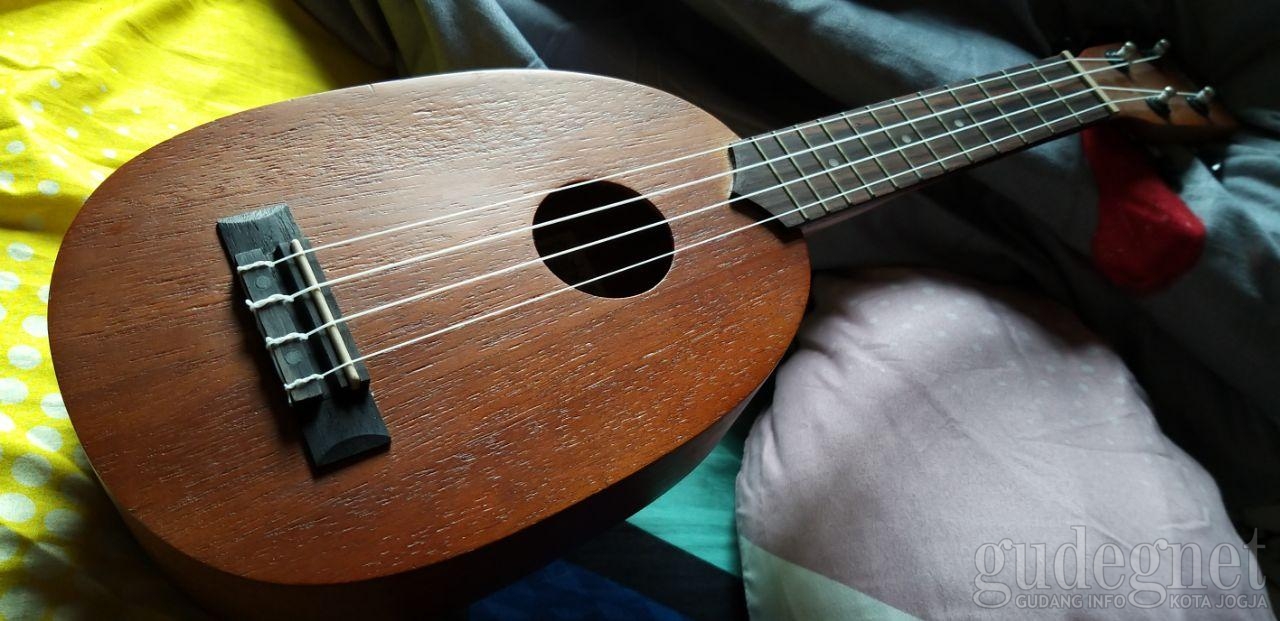 Detail Cara Membuat Ukulele Nomer 28