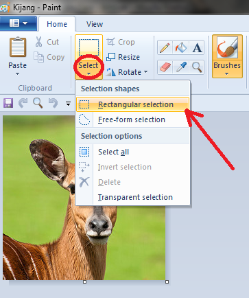 Detail Cara Memotong Gambar Nomer 8