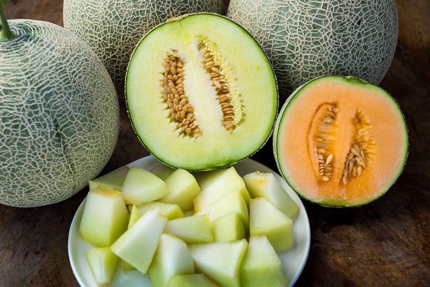 Detail Cara Memotong Melon Nomer 14