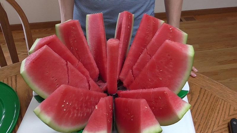 Detail Cara Memotong Melon Nomer 16