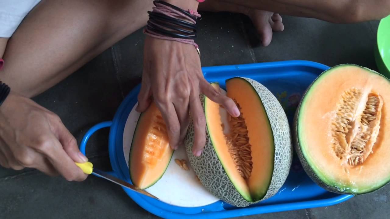 Detail Cara Memotong Melon Nomer 4
