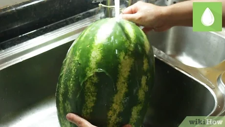 Detail Cara Memotong Melon Nomer 41