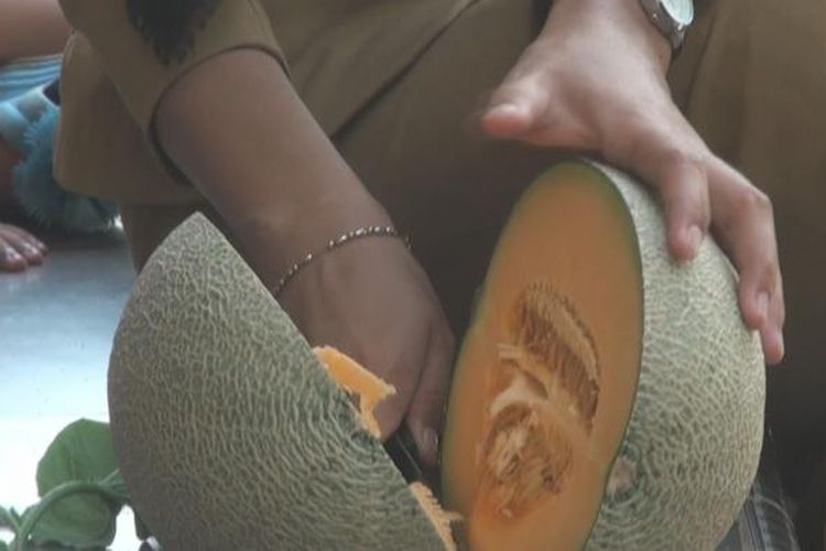 Detail Cara Memotong Melon Nomer 7
