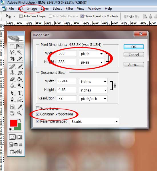 Detail Cara Memperkecil Gambar Di Photoshop Nomer 18