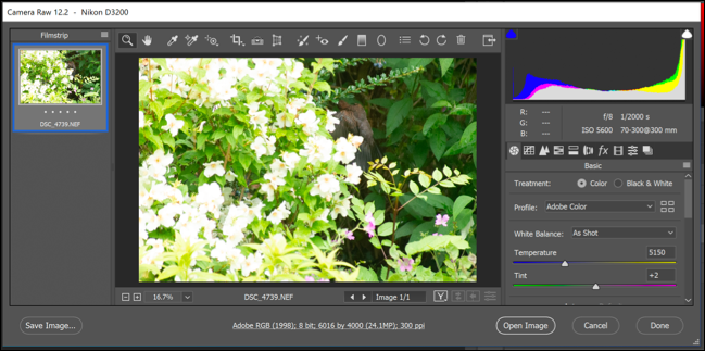 Detail Cara Mempertajam Gambar Di Photoshop Nomer 46