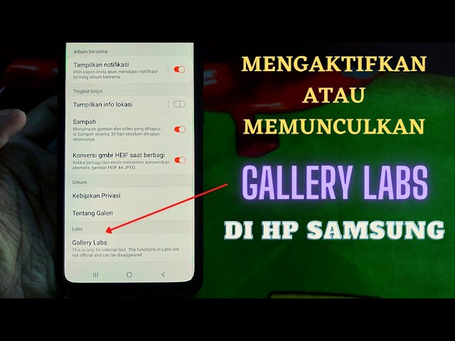 Detail Cara Memunculkan Foto Di Galeri Nomer 21