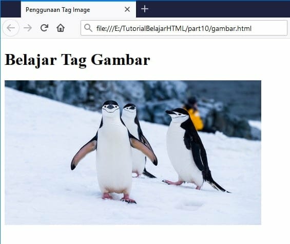 Detail Cara Menambahkan Gambar Di Html Nomer 53