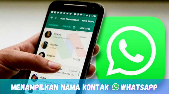 Detail Cara Menampilkan Foto Di Wa Nomer 50