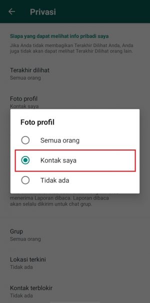 Detail Cara Menampilkan Foto Profil Teman Di Wa Nomer 12