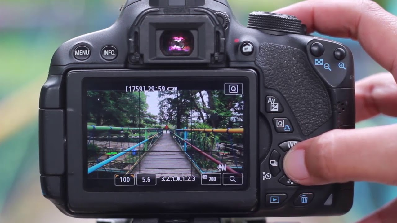 Detail Cara Menampilkan Gambar Di Layar Kamera Canon Nomer 2