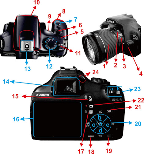 Detail Cara Menampilkan Gambar Di Layar Kamera Canon Nomer 34
