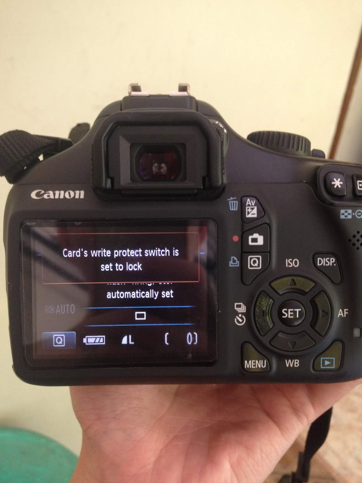 Detail Cara Menampilkan Gambar Di Layar Kamera Canon Nomer 38