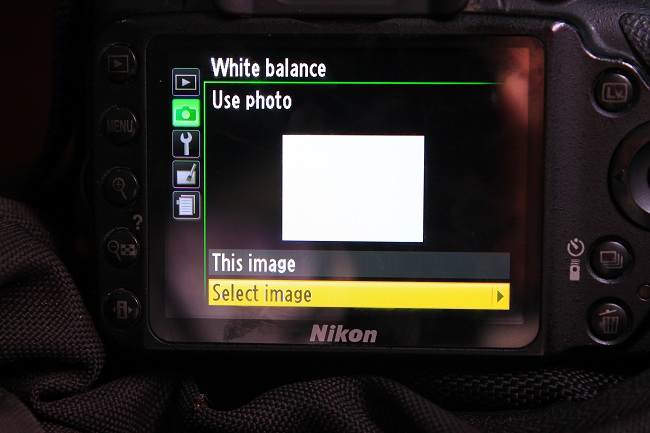 Detail Cara Menampilkan Gambar Di Layar Kamera Canon Nomer 44