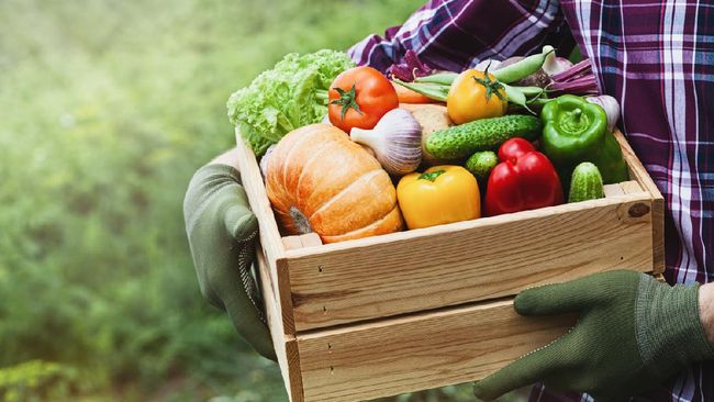 Detail Cara Menanam Sayur Organik Di Halaman Rumah Nomer 20