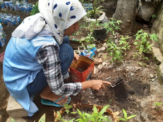 Detail Cara Menanam Sayur Organik Di Halaman Rumah Nomer 31