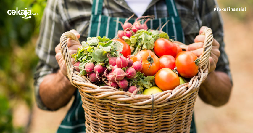 Detail Cara Menanam Sayur Organik Di Halaman Rumah Nomer 38