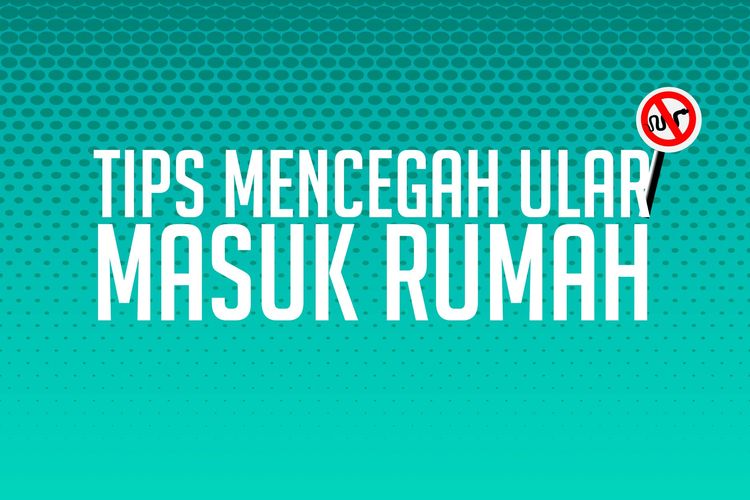 Detail Cara Menangkal Ular Masuk Rumah Nomer 11