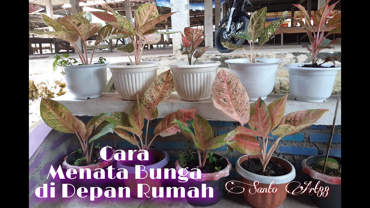 Detail Cara Menata Bunga Di Depan Rumah Nomer 27